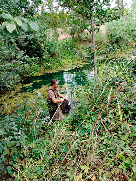 Burriana refuerza el control de especies exóticas en el Clot de la Mare de Déu de la mano de la Conselleria de Medio Ambiente Burriana refuerza el control de especies exóticas en el Clot de la Mare de Déu de la mano de la Conselleria de Medio Ambiente