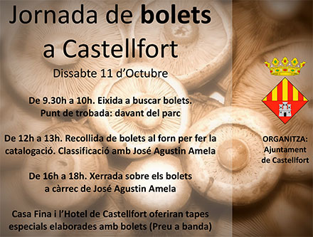 Castellfort celebrará el próximo sábado una jornada dedicada a las setas