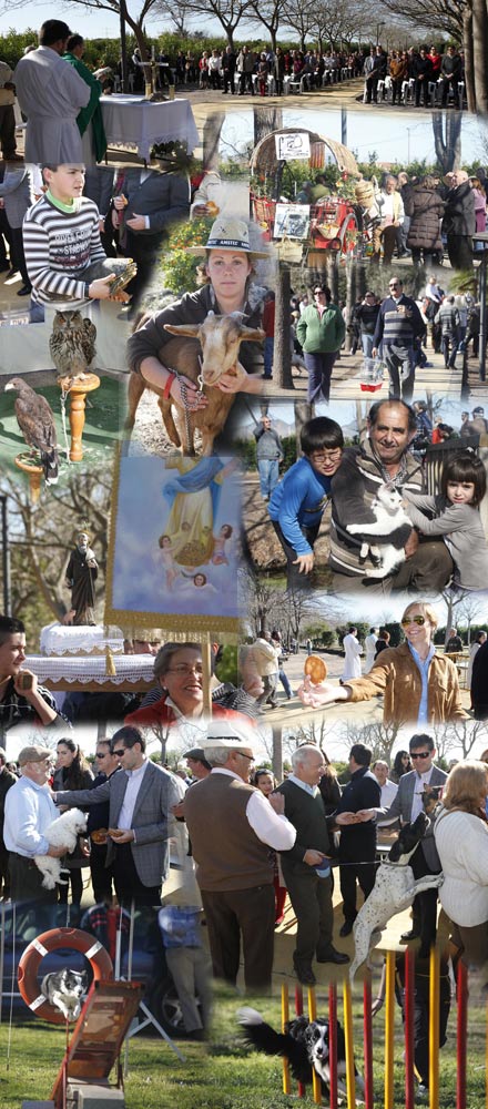 Castellón, San Antoni 2012