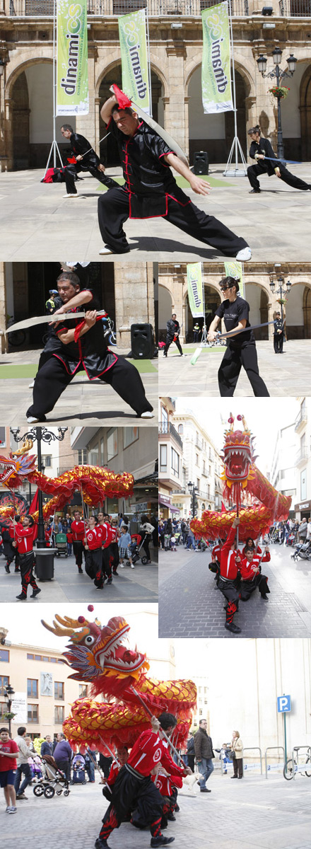 Castellón, Dinamics 2013 Castellón, Dinamics 2013