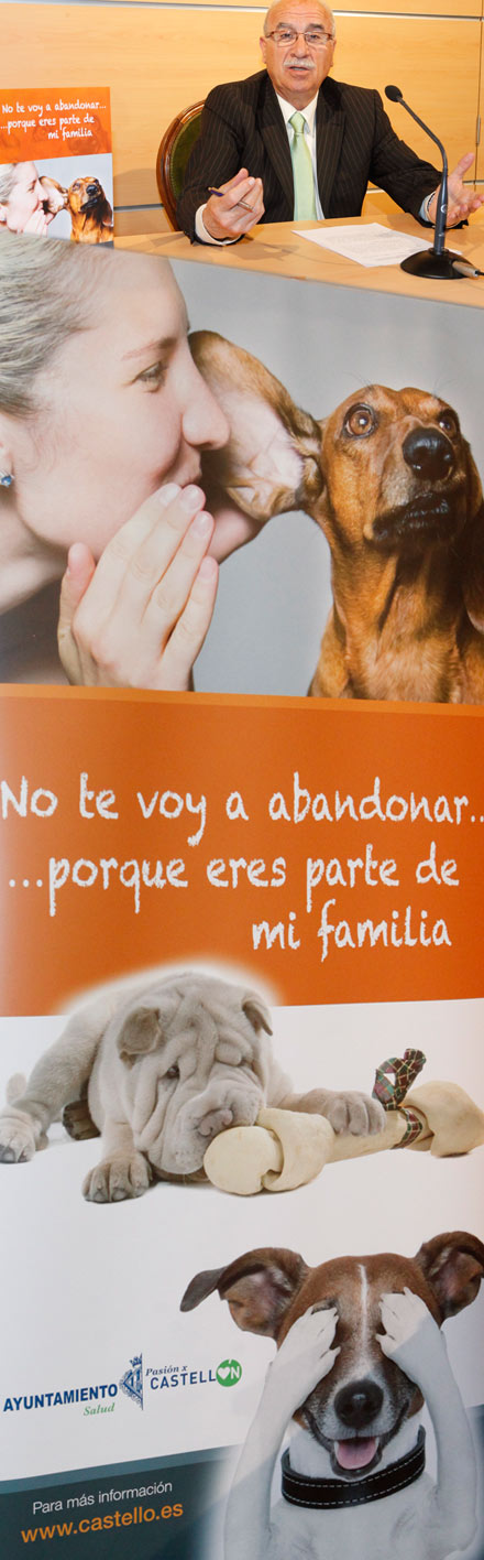 Castellón, Campaña mascotas 2013 Castellón, Campaña mascotas 2013