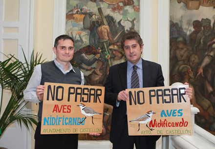 anidamiento del chorlitejo patinegro