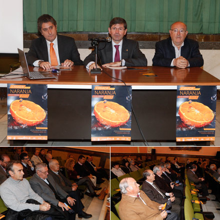 Jornada de la Naranja 2013 Jornada de la Naranja 2013