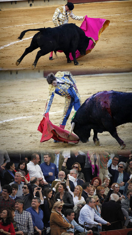 asdfasd toros Magdalena 2013