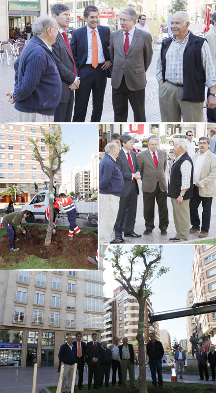 Homenaje al sector agrícola con la plantación de un naranjo en la plaza Fadrell Homenaje al sector agrícola con la plantación de un naranjo en la plaza Fadrell
