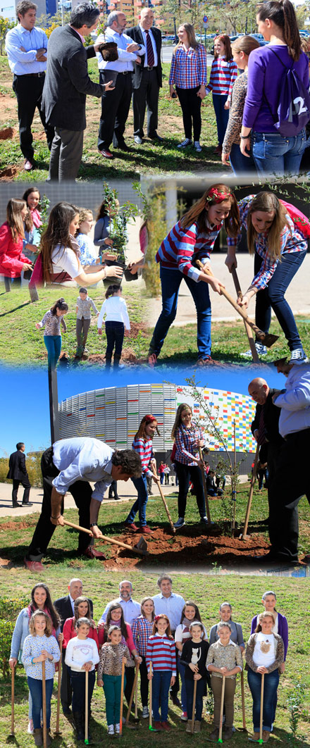 Plantación de 2 encinas y 30 madroños en las inmediaciones del Palau de la Festa Plantación de 2 encinas y 30 madroños en las inmediaciones del Palau de la Festa