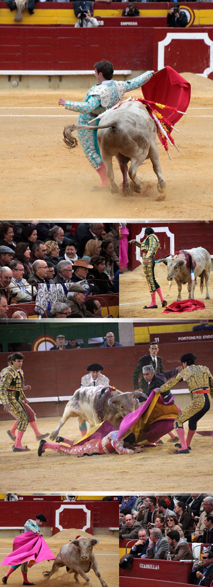 Castellón, Magdalena 2014