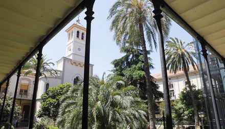 El Hospital Provincial de Castellón y Peset  analizan los avances del congreso oncológico americano 