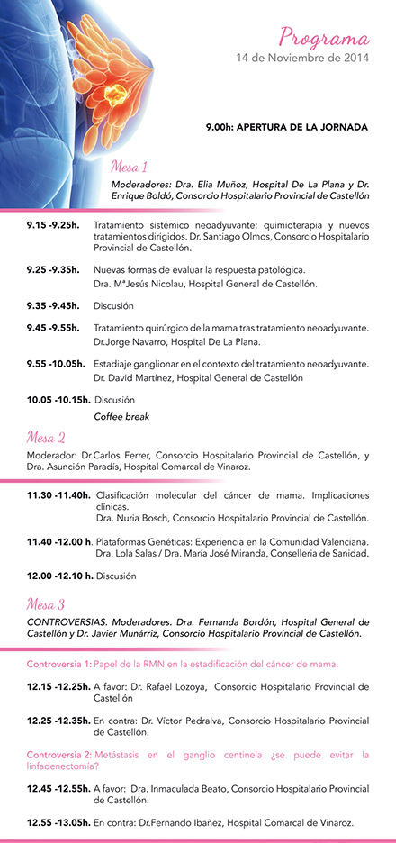 Jornadas sobre el cáncer de mama en la Diputación de Castellón