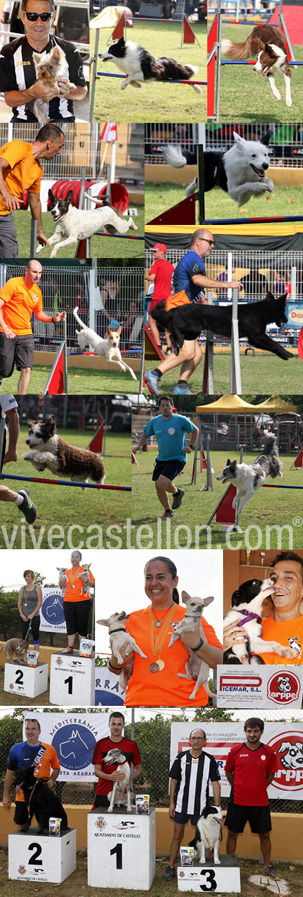 I-II Prueba de agility puntuable de la Real Sociedad Canina Española