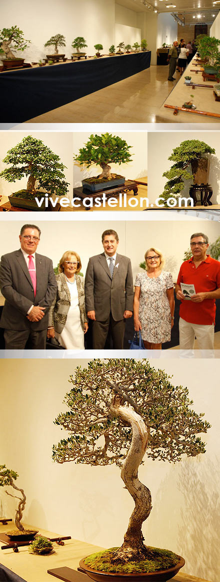 Castellón, 2014 Castellón, 2014