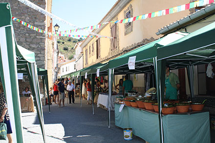 Feria del Aceite del Oro de la Sierra de Espadán en Higueras