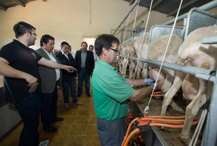 Castellón, 2014 Castellón, 2014