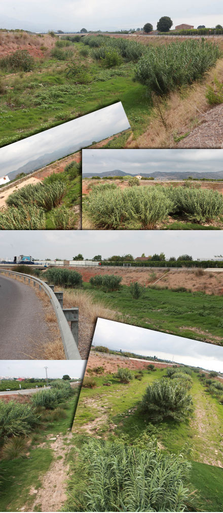 Castellón, 2014 Castellón, 2014