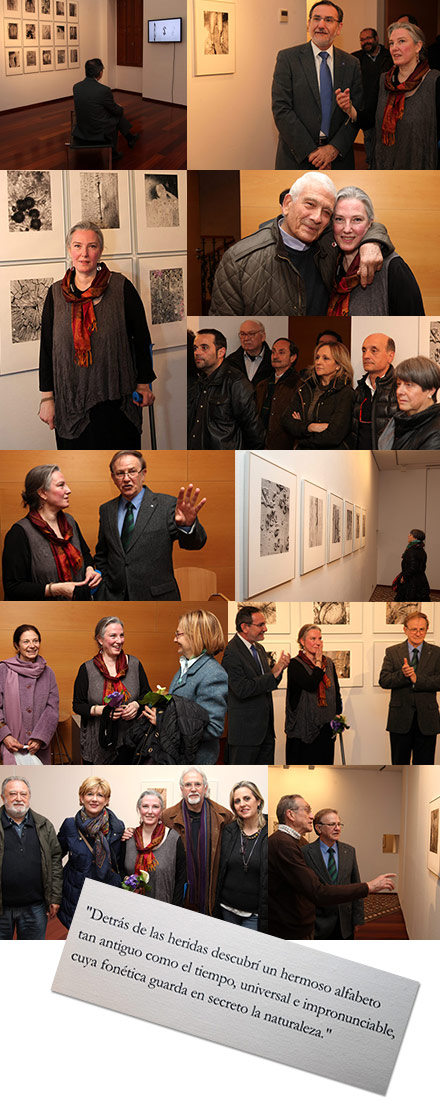 Exposición Humanas, demasiado humanas. Las heridas del Alfabeto Natural de Rossana Zaera Exposición Humanas, demasiado humanas. Las heridas del Alfabeto Natural de Rossana Zaera