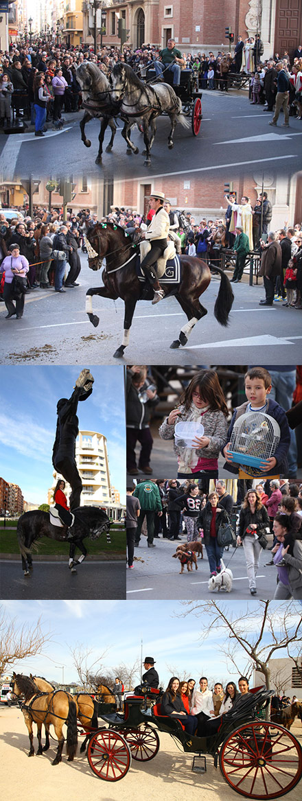 Festividad San Antonio Abad en Castellón Festividad San Antonio Abad en Castellón