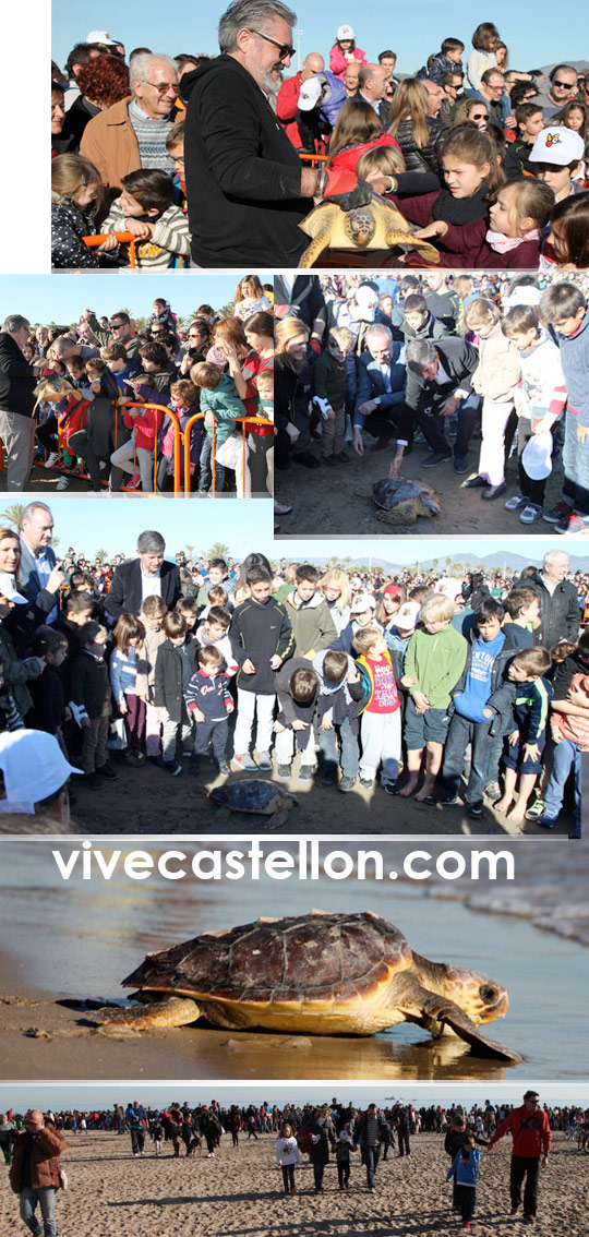Castellón, 2014 Castellón, 2014