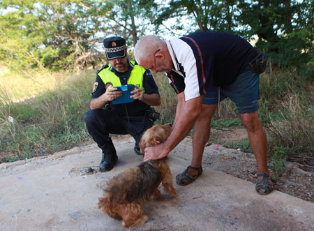 Castellón, 2015 Castellón, 2015