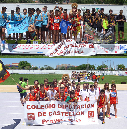 El Colegio Diputación, campeón de España Infantil El Colegio Diputación, campeón de España Infantil