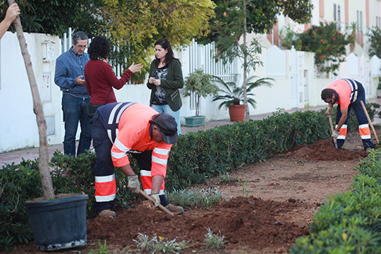 campaña Apadrina el teu arbre del Ayuntamiento de Castellón