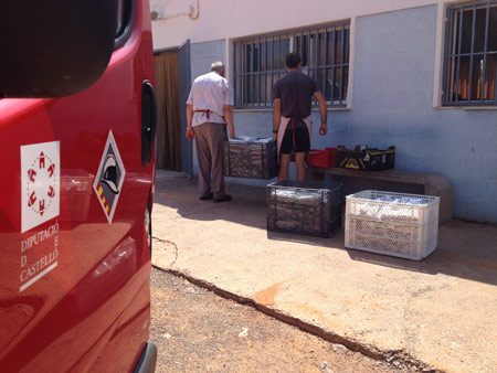 Castellón, 2015 Castellón, 2015