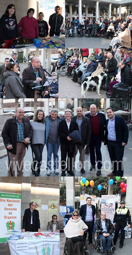 celebración del Día Europeo e Internacional de las Personas con Discapacidad celebración del Día Europeo e Internacional de las Personas con Discapacidad