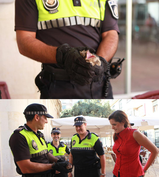 Castellón, 2015 Castellón, 2015