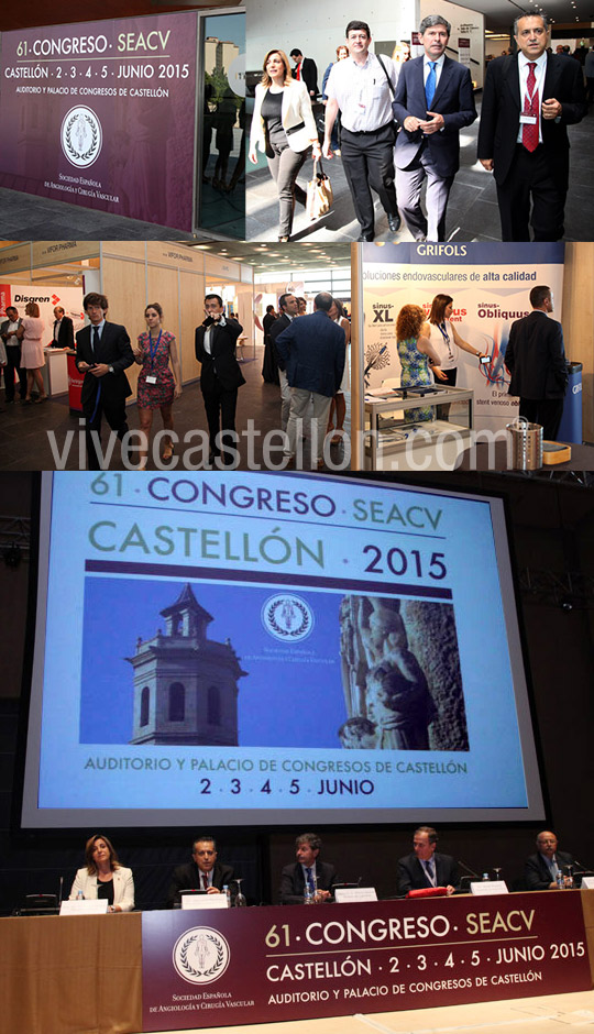 Expertos de toda España se reúnen en Castellón en el 61 Congreso Nacional de la SEACV
