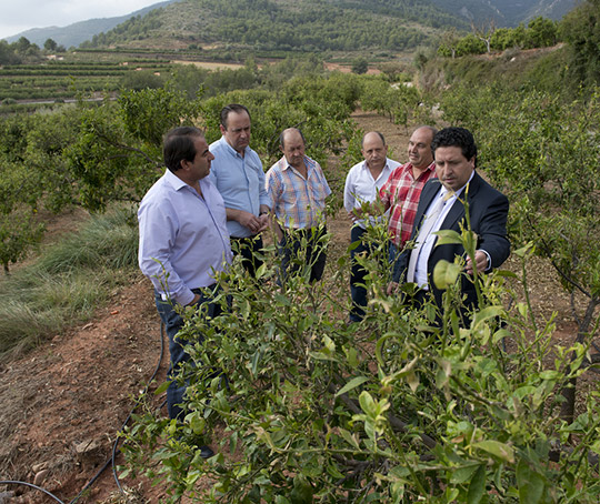 La Diputación impulsa el desarrollo de la agricultura ecológica La Diputación impulsa el desarrollo de la agricultura ecológica