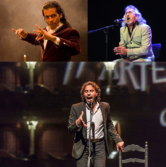 Jornadas Culturales de Flamenco de Castellón 