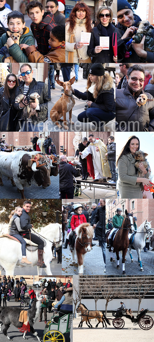 Festividad de Sant Antoni en Castellón Festividad de Sant Antoni en Castellón