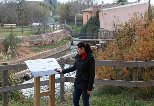 Mejora integral en el Molí la Font de Castellón