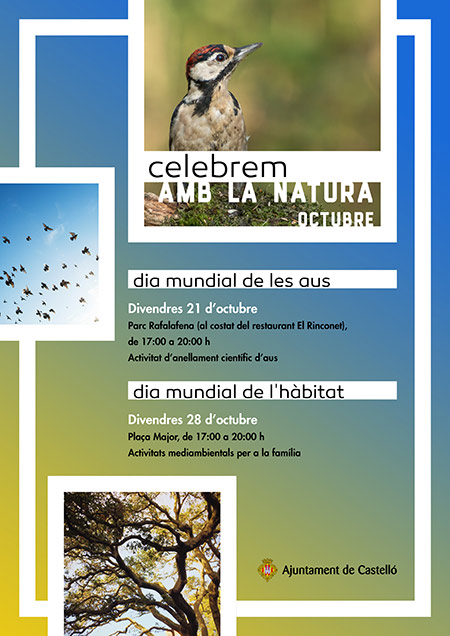 Castellón celebra los días mundiales de las aves y de los hábitats 