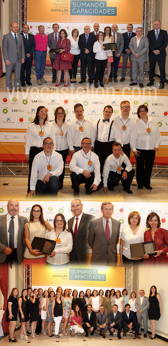 I ediciónPremios Síndrome de Down Castellón 