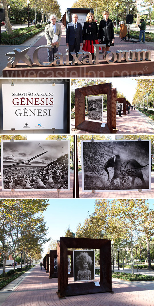 Exposición del fotógrafo Sebastião Salgado en el parque Ribalta de Castellón