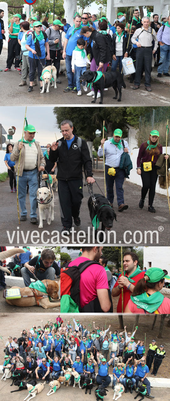 Castellón, 2016 Castellón, 2016