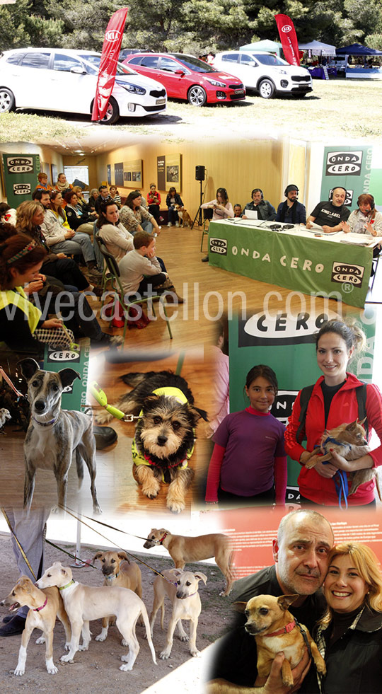 Como el perro y el gato desde el pinar del Grao de Castellón