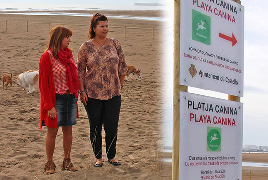 Castellón estrena una playa canina en el Pinar