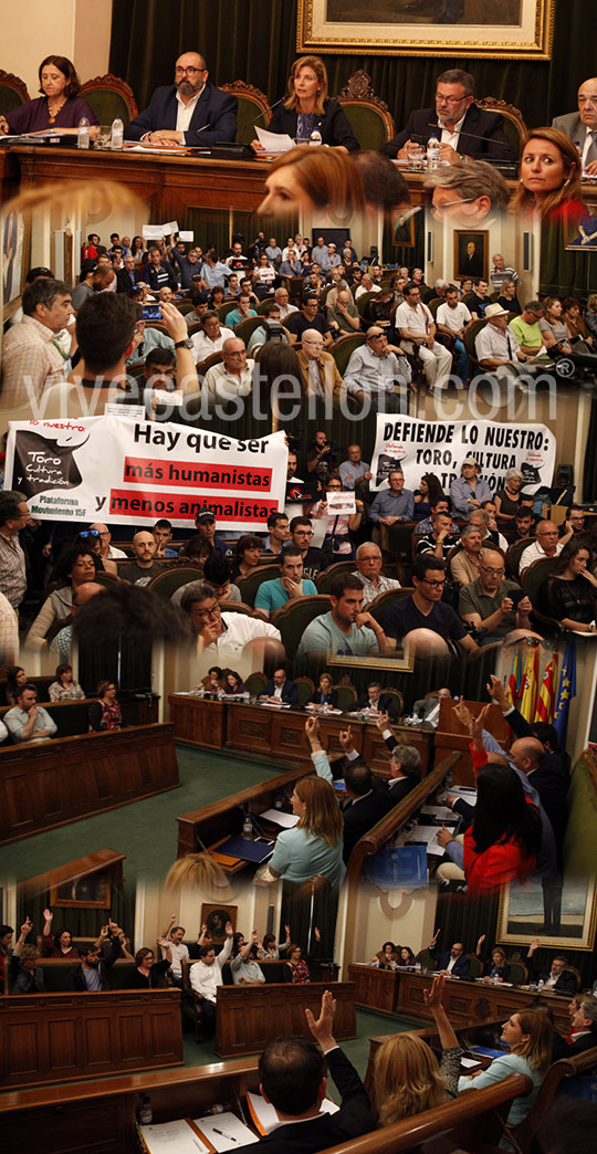 Expectación en el pleno del Ayuntamiento de Castellón