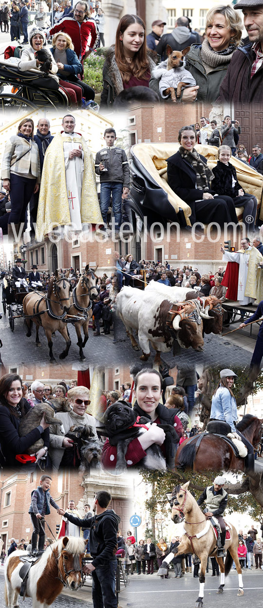 Celebración de San Antonio en Castellón
