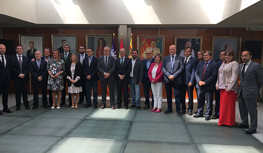 Comisión de Diputaciones de la Federación Española de Municipios y Provincias
