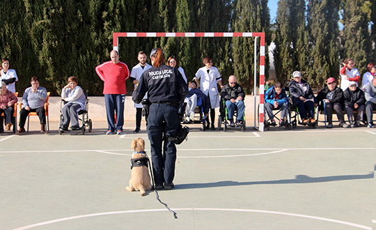 Ronda de visitas de la Unidad Canina de la Policía Local de Castellón