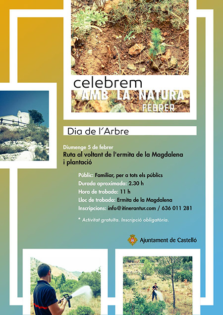 El Día del Árbol se celebra en Castellón con una ruta interpretativa por la Magdalena