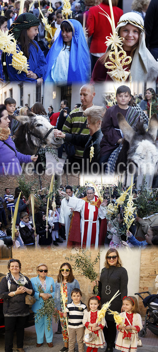 Castellón celebra el Domingo de Ramos