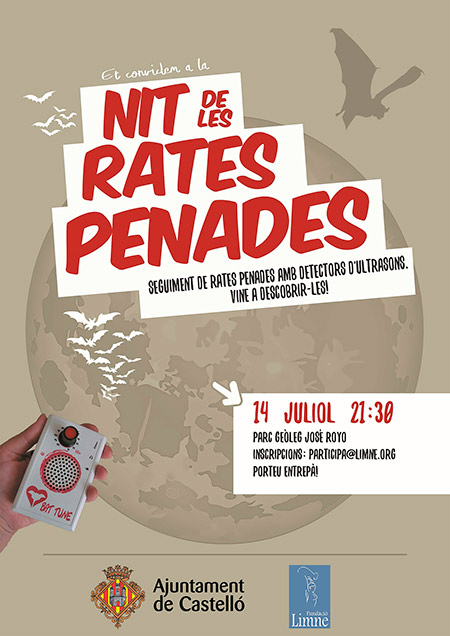 Nit de les rates penades, viernes 14 de julio en Castellón