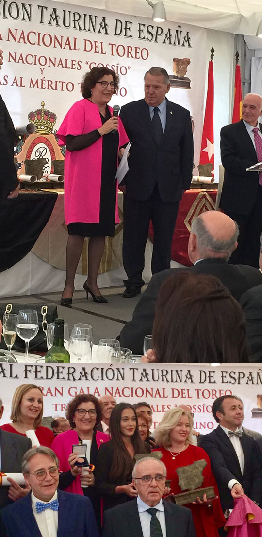 Castellón, 2017 Castellón, 2017