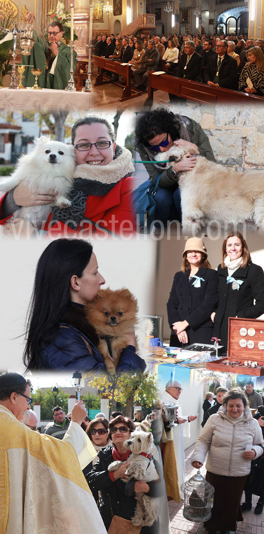 Fiesta de San Antonio Abad y bendición de animales Fiesta de San Antonio Abad y bendición de animales