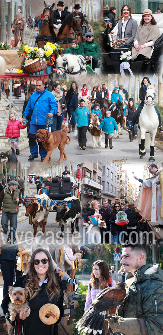 festividad de San Antonio Abad festividad de San Antonio Abad