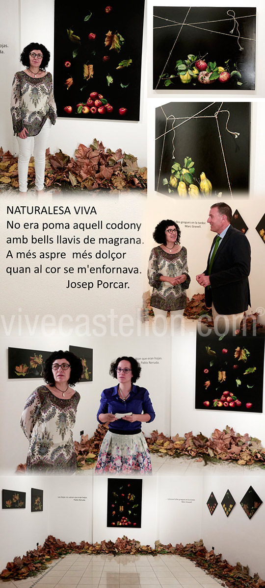 Tardor, exposición de Claudia de Vilafamés en el Espai Cultural Obert Les Aules