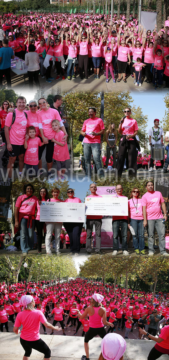 Un Paseo por la Vida Castellón, marcha solidaria contra el cáncer de mama
